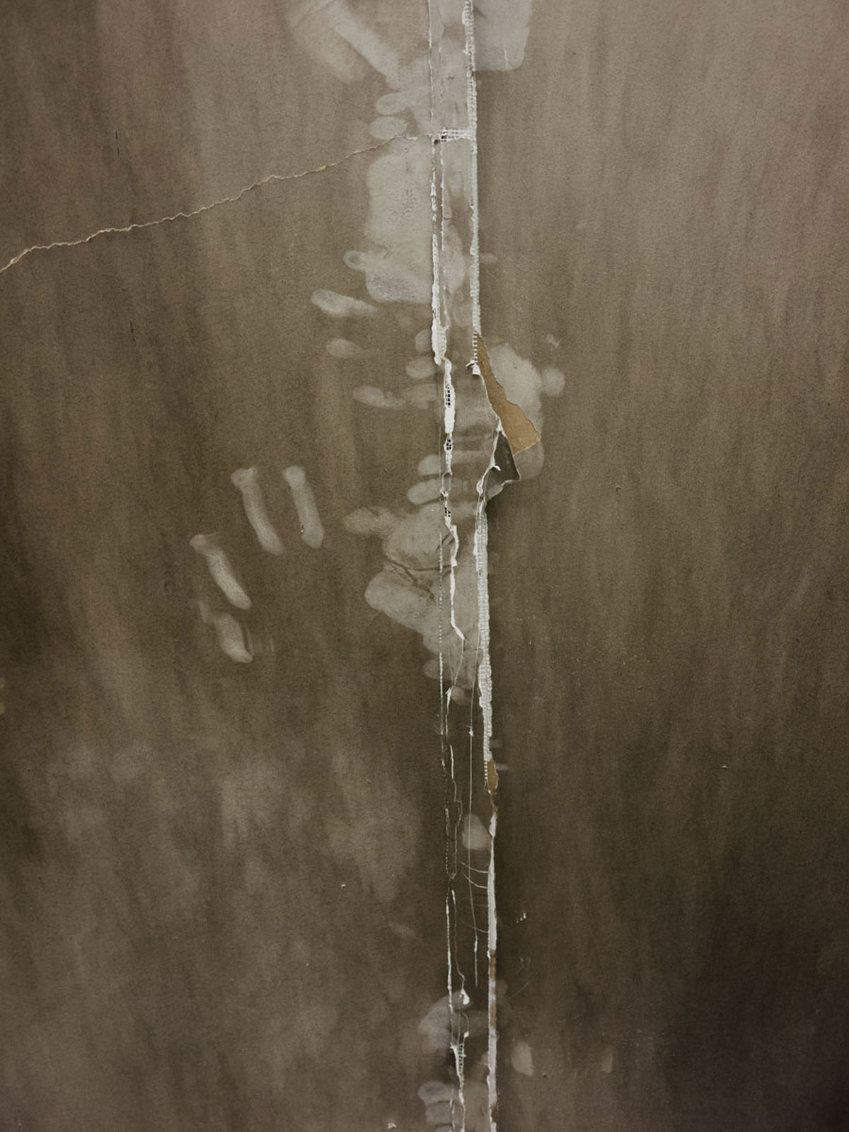 Punitive Embers, 2014